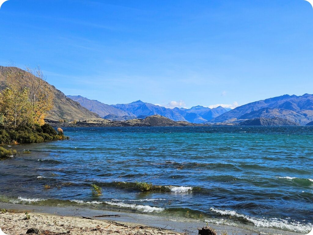 Things to do in Wānaka - swim in the lake