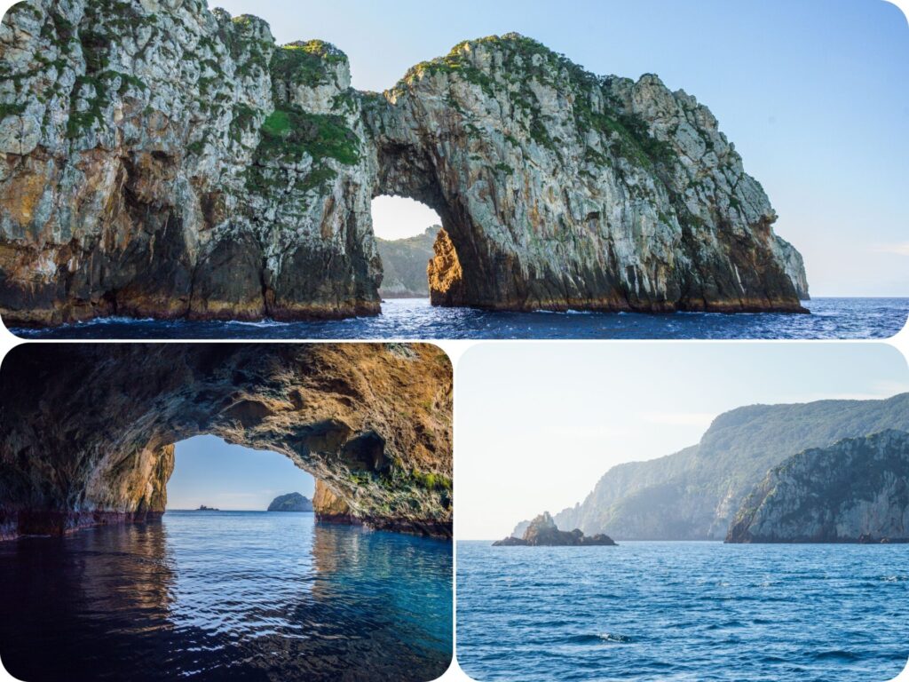 Poor Knights Islands Perfect Day Cruise - Boat Tour