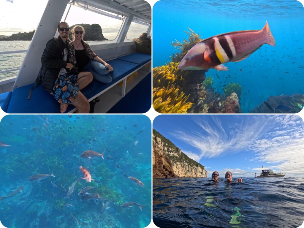 Poor Knights Islands Perfect Day Cruise - Free Photos from Dive!