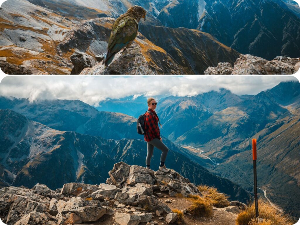 South Island Day Hikes - Avalanche Peak