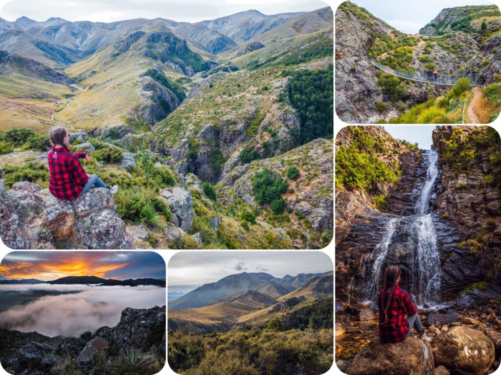 South Island Day Hikes - Woolshed Creek Hut