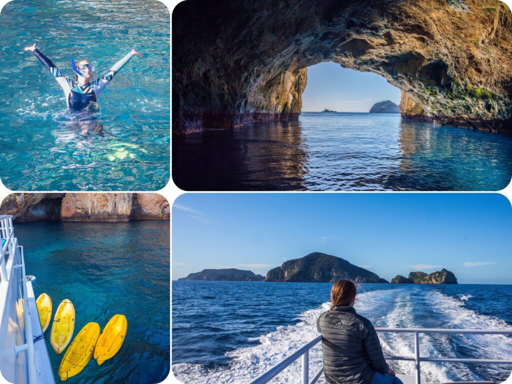 Poor Knights Islands Perfect Day Cruise - Highlights