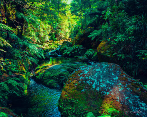 Abel Tasman Cleopatra's Pool Print