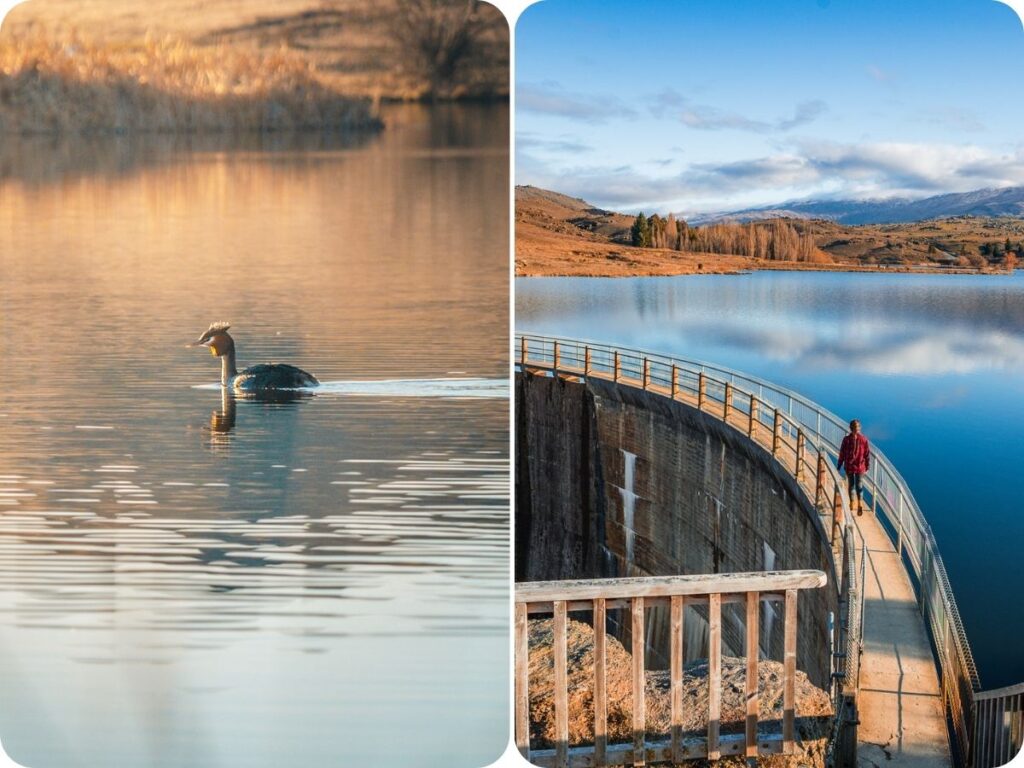 Things to do in Alexandra & Central Otago - Butcher's Dam