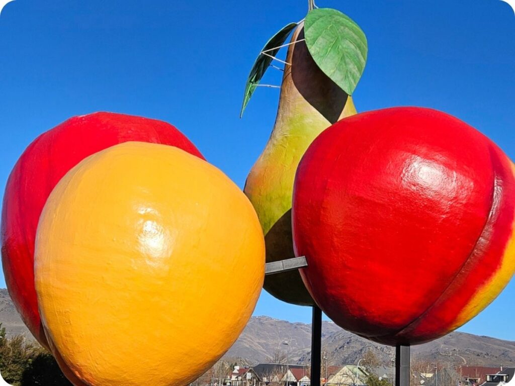 Things to do in Alexandra & Central Otago - Fruit Stalls