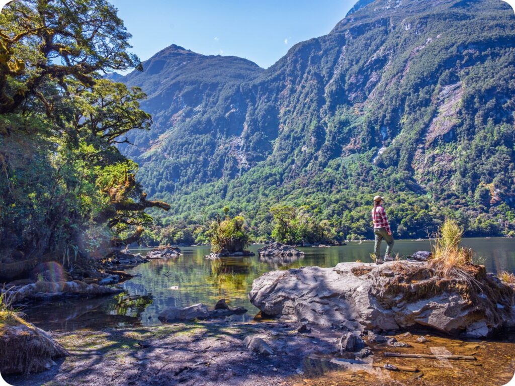 Milford Track Day Hike - Lake Ada