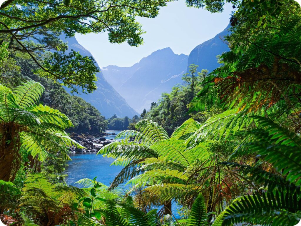 Milford Track Day Hike