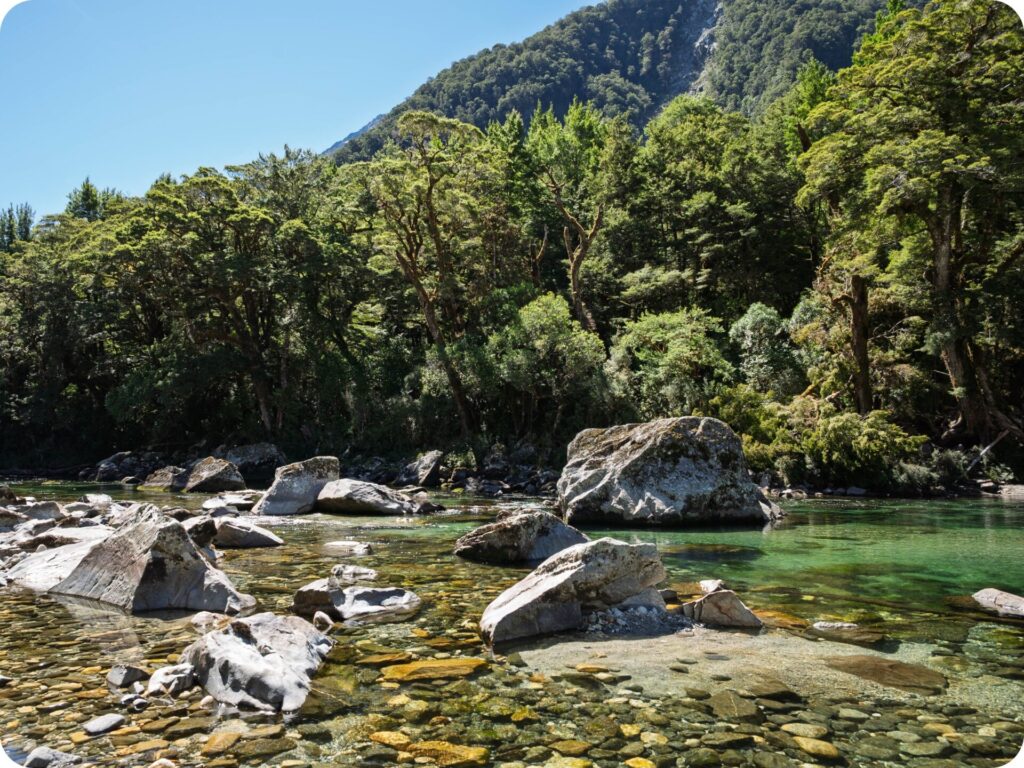 Milford Track Day Hike - Clinton Hut