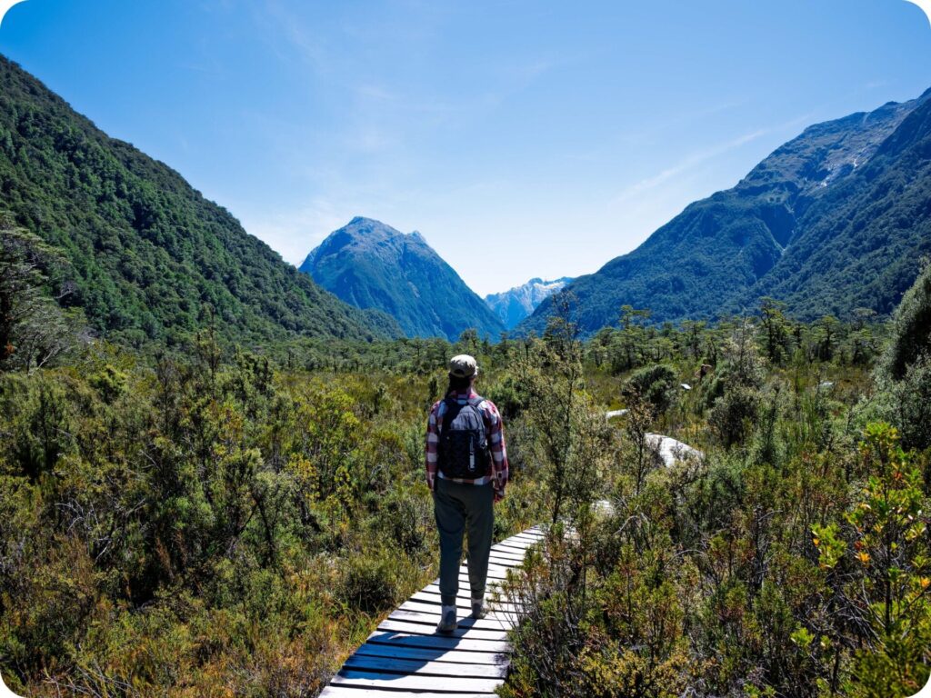Milford Track Day Hike - Wetlands Side Track