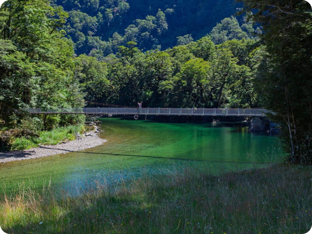Milford Track Day Hike - Clinton Swing Bridge