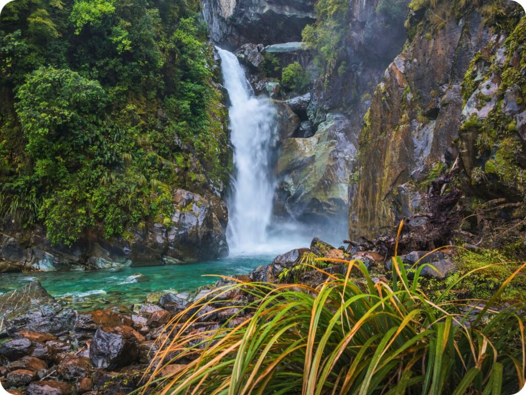 Hikes in Milford Sound - Hidden Falls Track
