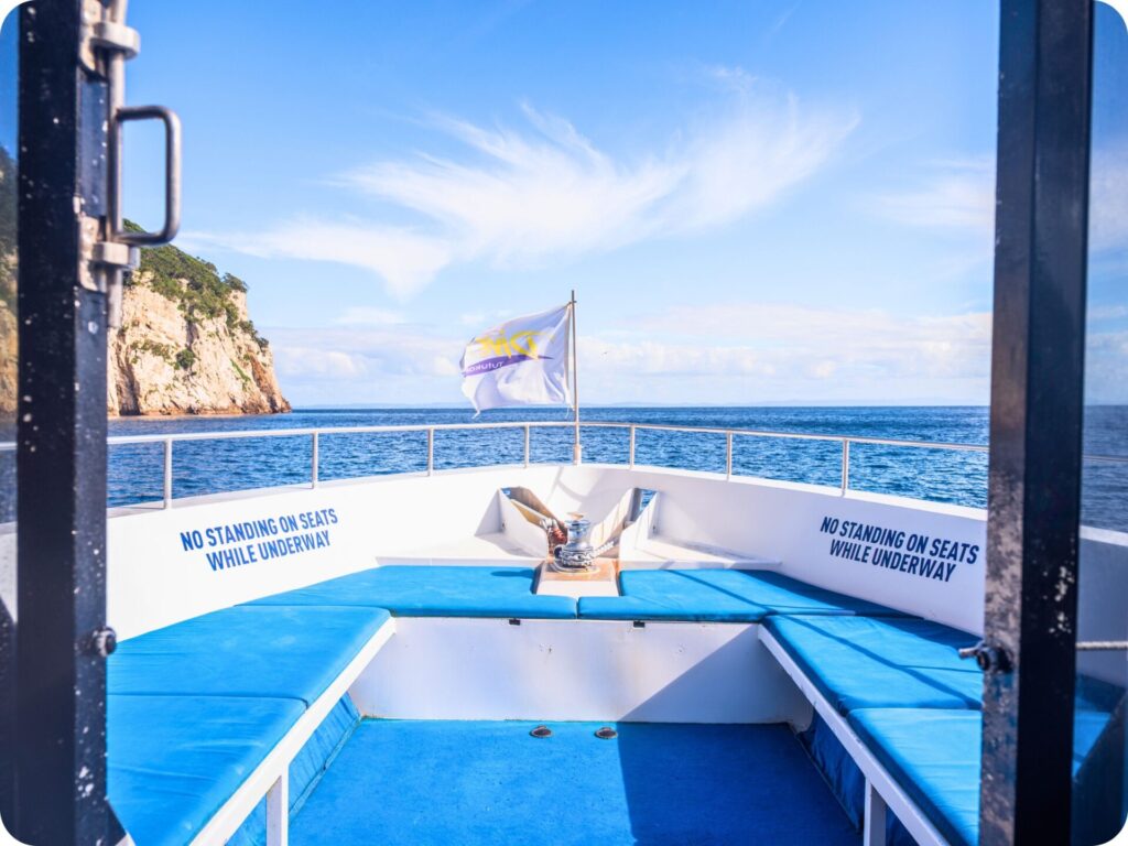 Poor Knights Islands Perfect Day Cruise