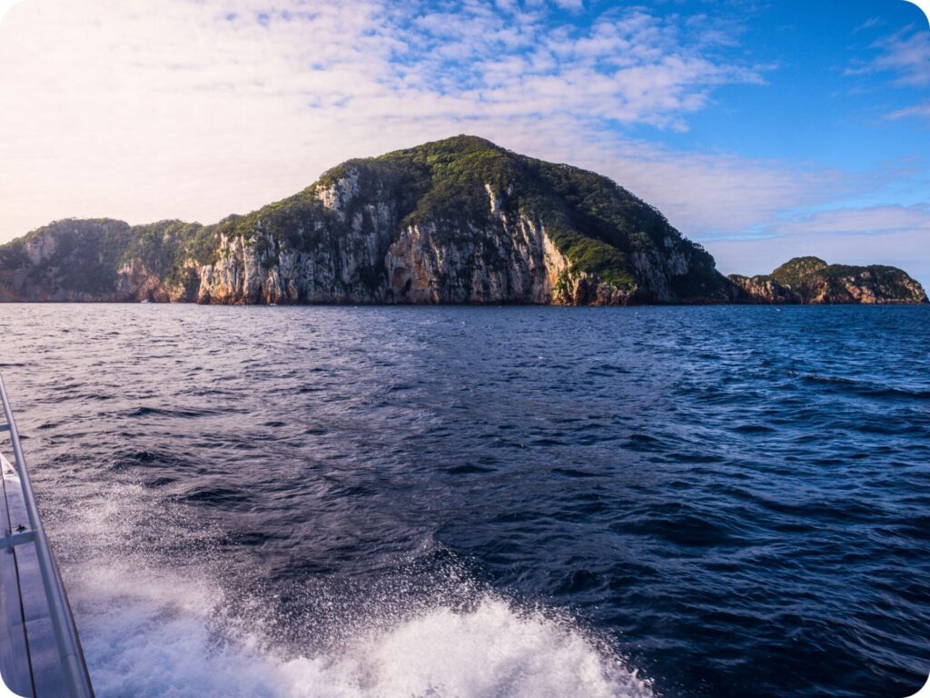 Poor Knights Islands Perfect Day Cruise - Ride out to the Islands