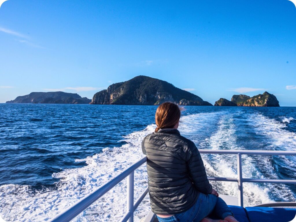 Poor Knights Islands Perfect Day Cruise