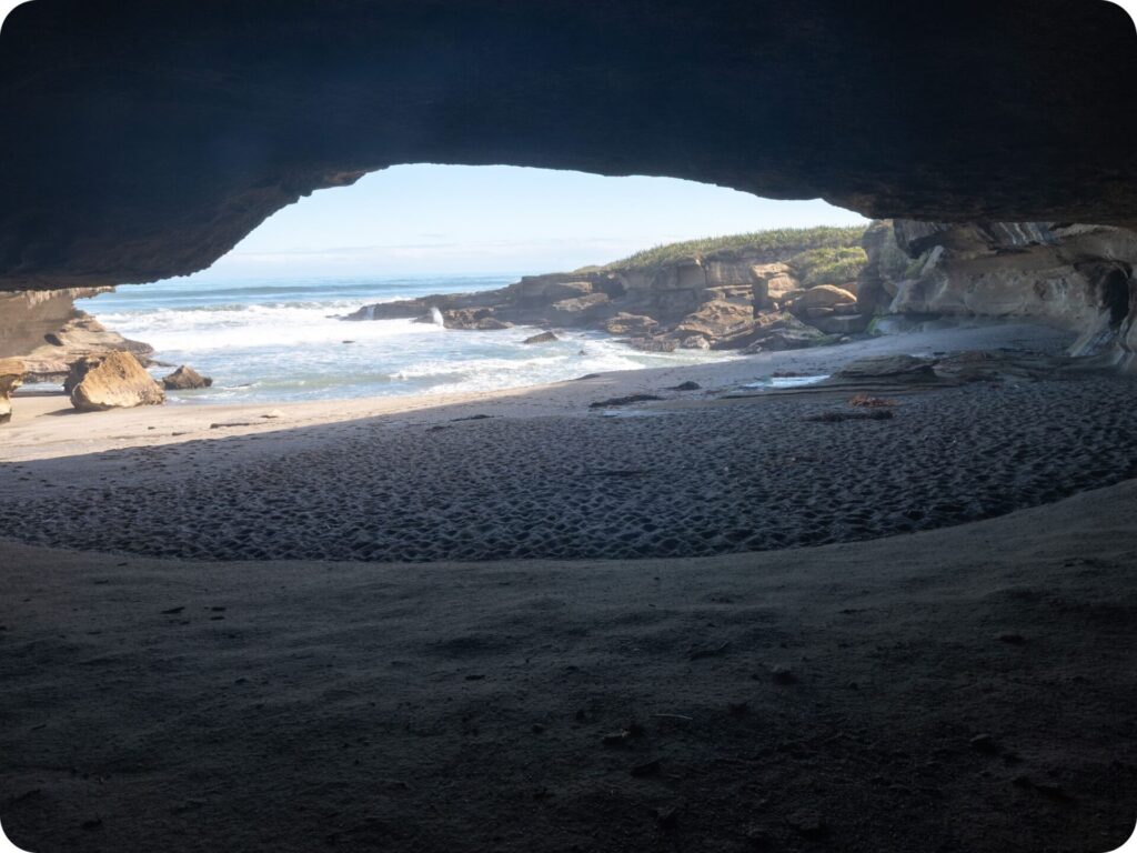New Zealand’s West Coast - Truman Track