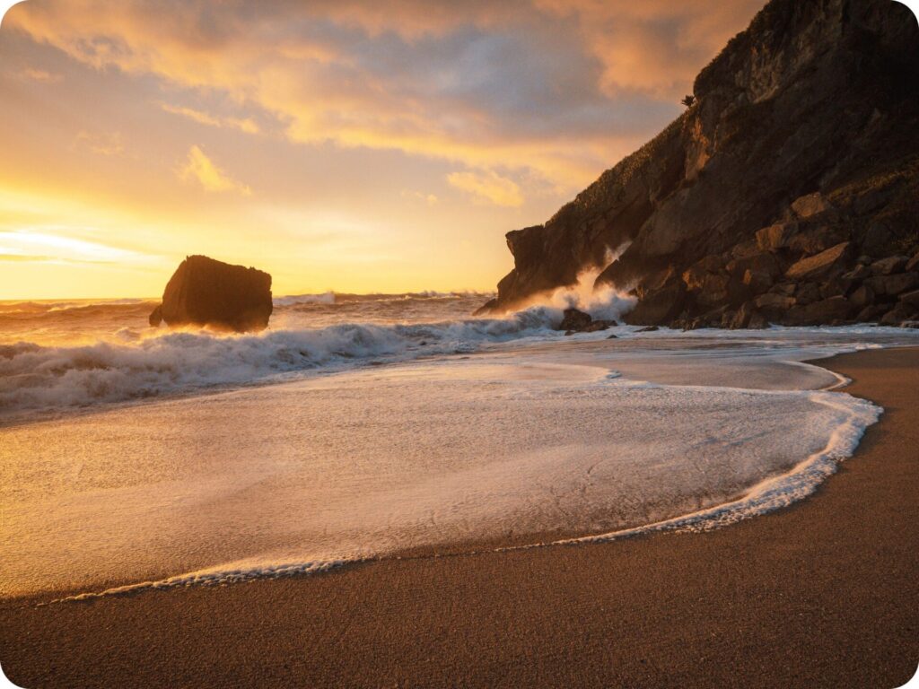 New Zealand’s West Coast - Kohaihai