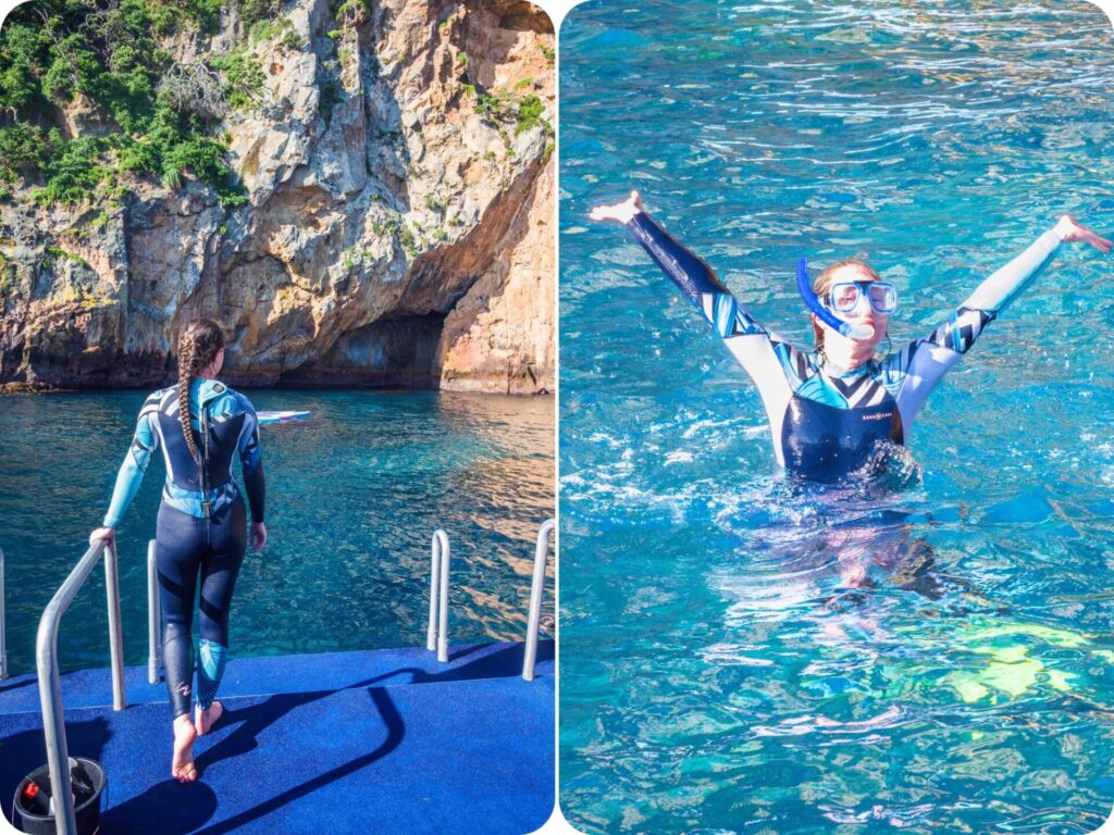 Poor Knights Islands Perfect Day Cruise - Snorkelling