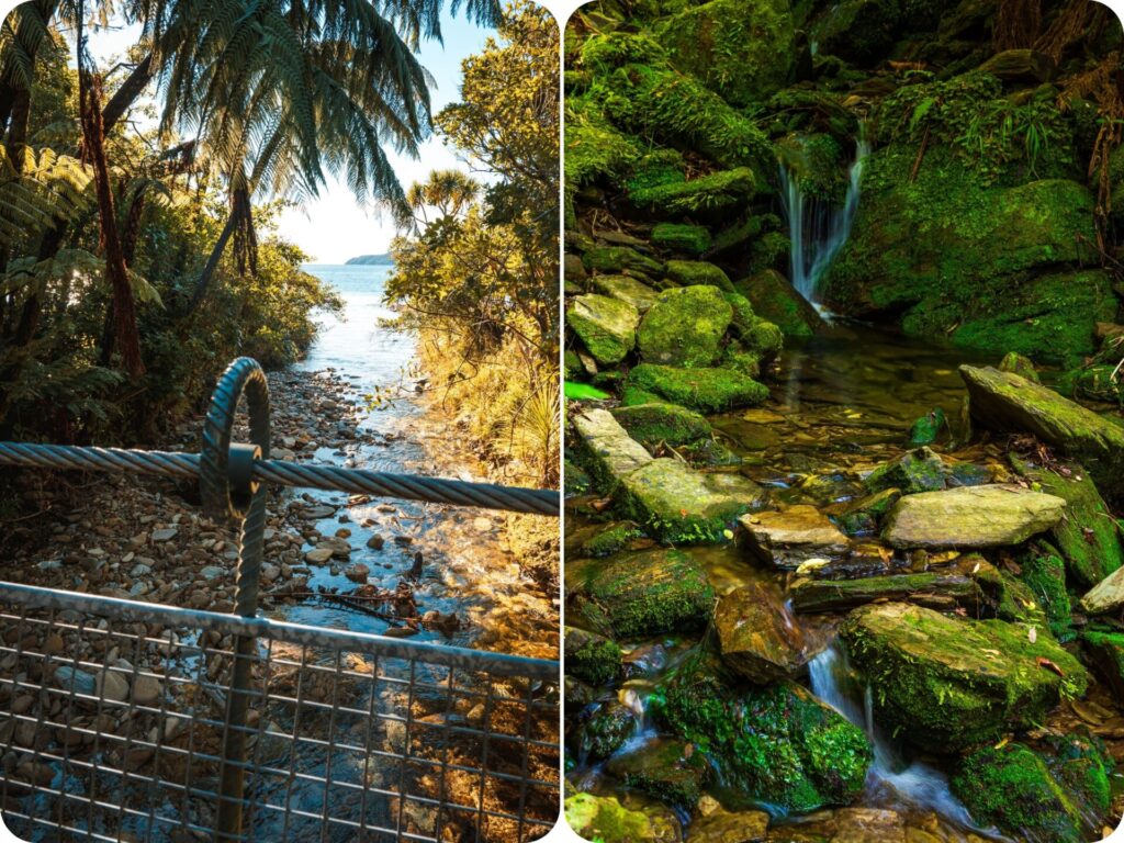 Queen Charlotte Track - Start of the Trail
