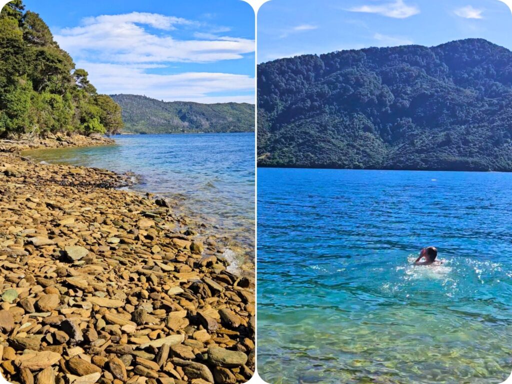 Queen Charlotte Track - Pebble Beach