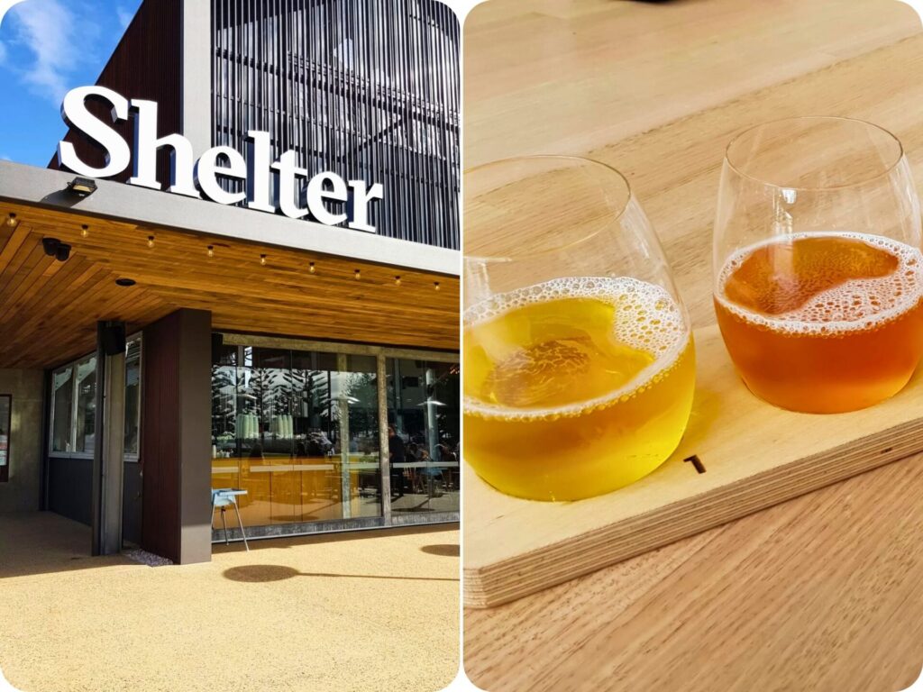 Busselton Afternoon Drinks - Shelter Brewing Co