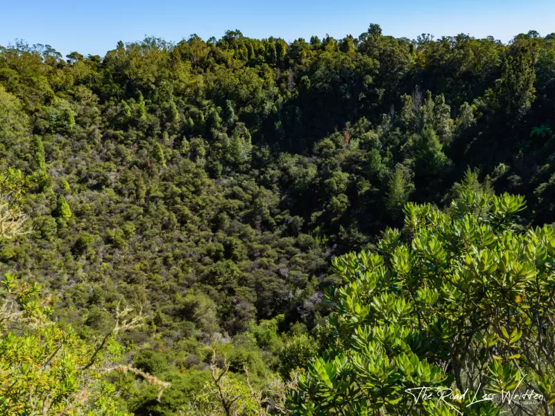 Rangitoto Island Summit