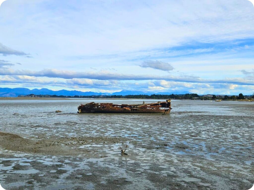 Things to do in Tasman - Janie Seddon Shipwreck