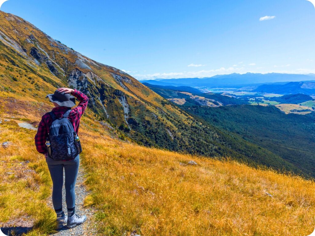 Mt Robert Circuit - Walks in Nelson/Tasman Region