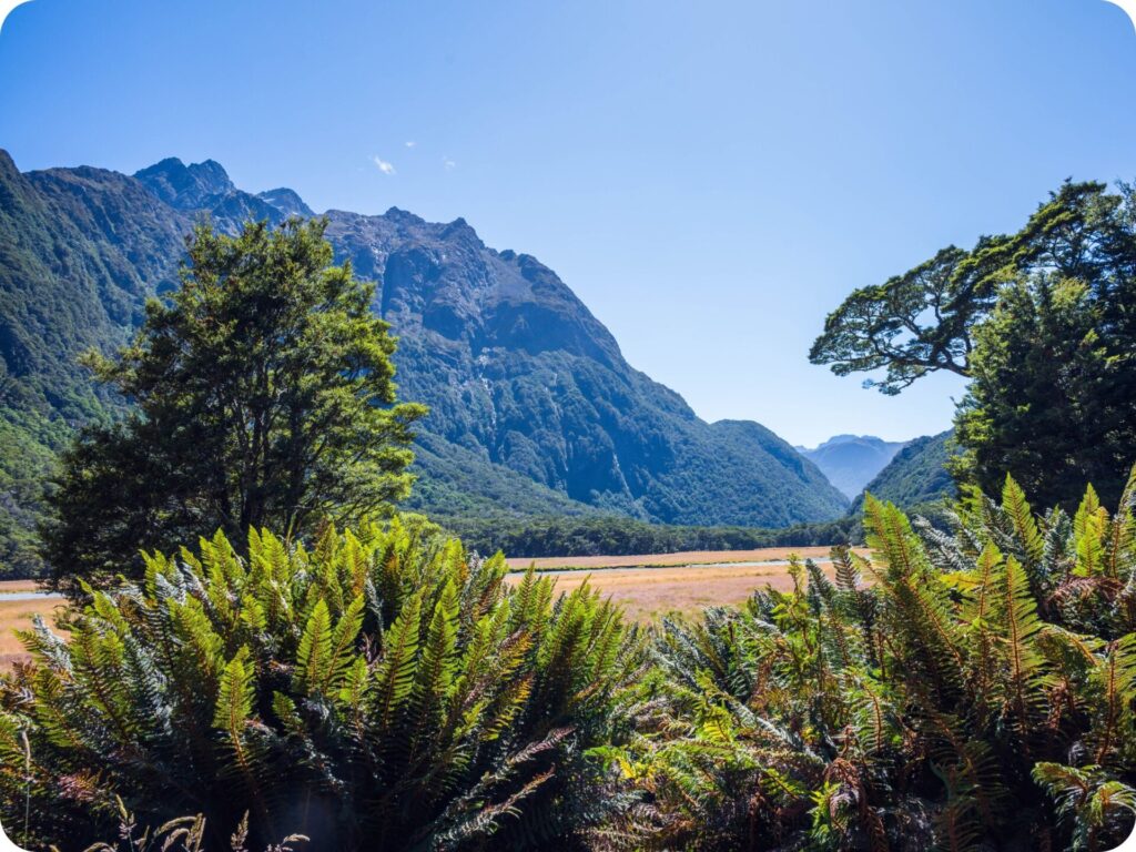 Routeburn Track - Grassy Flats or Forge Flats