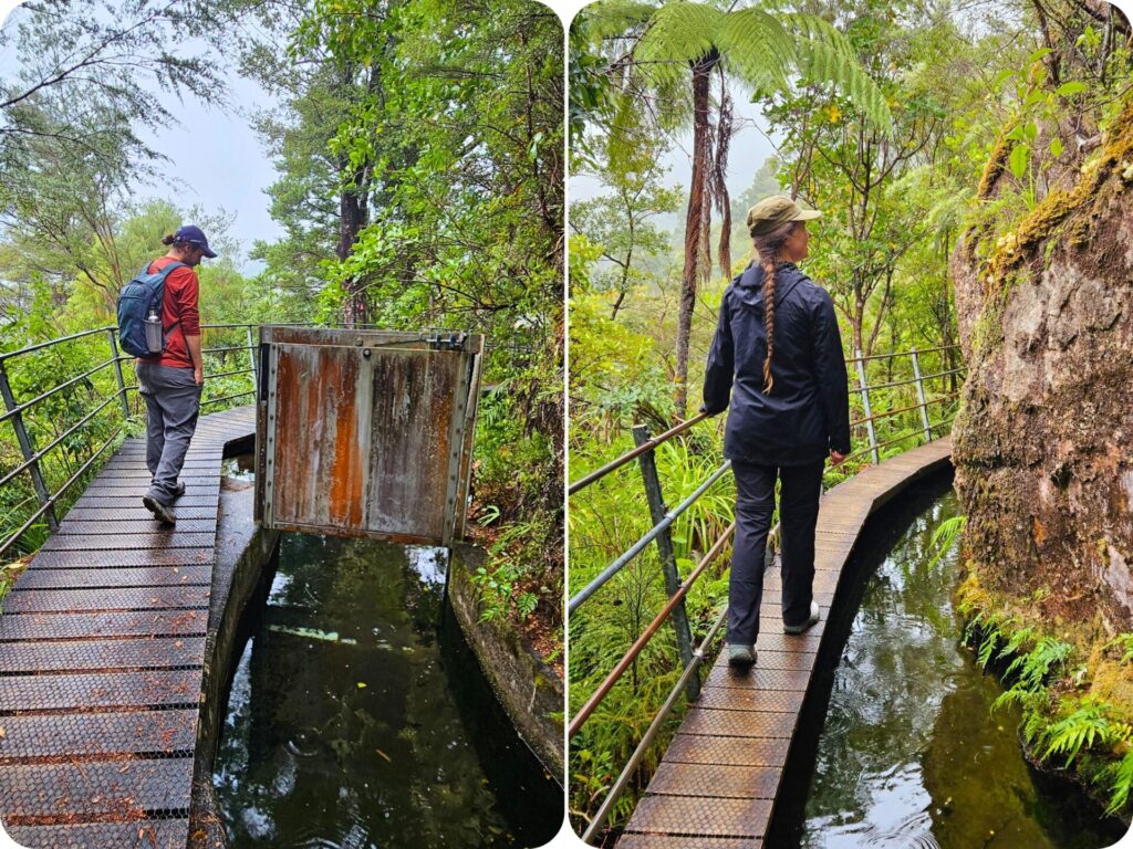 Pupu Hydro Walkway - Walks in Nelson/Tasman Region