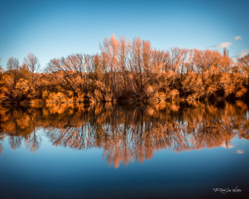 Autumn Colours Clutha River Print