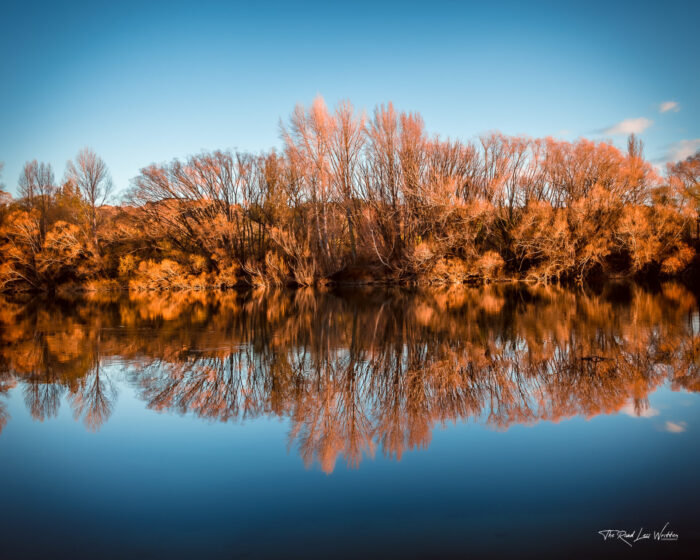 Autumn Colours Clutha River Print