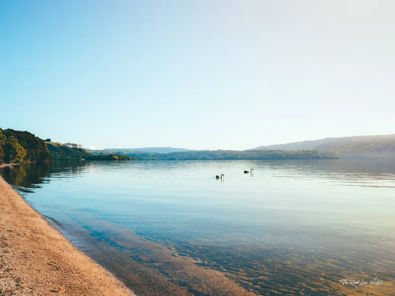 The beautiful lakes edge of Hawaiki Bay along the Tarawera Trail