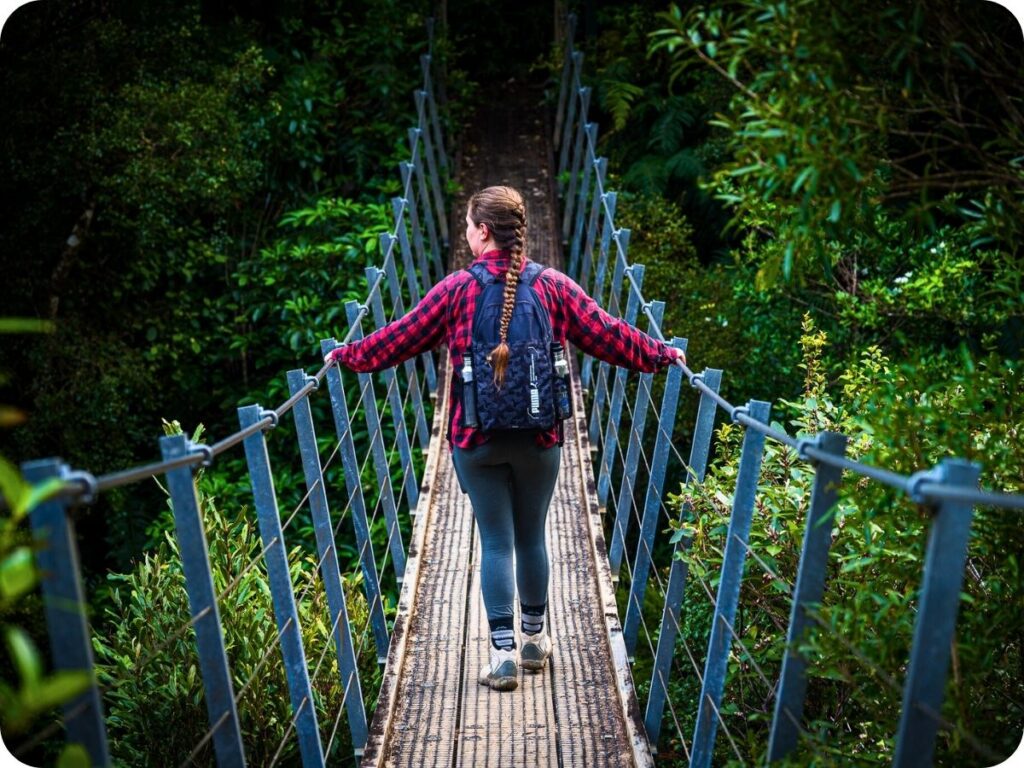 Kauaeranga Kauri Trail