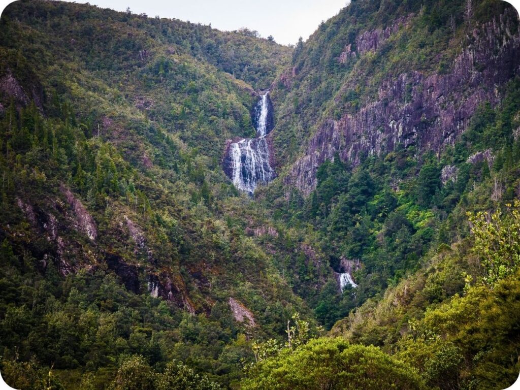 Kauaeranga Kauri Trail - Billygoat Falls