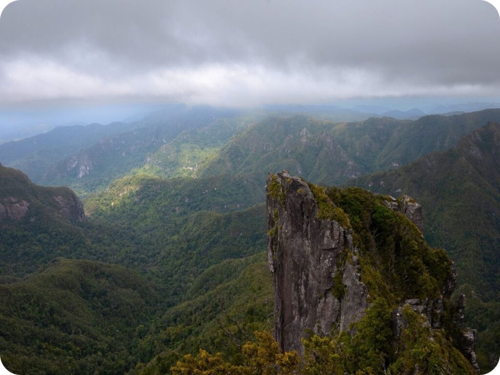 Kauaeranga Kauri Trail - Pinnacles Lookout