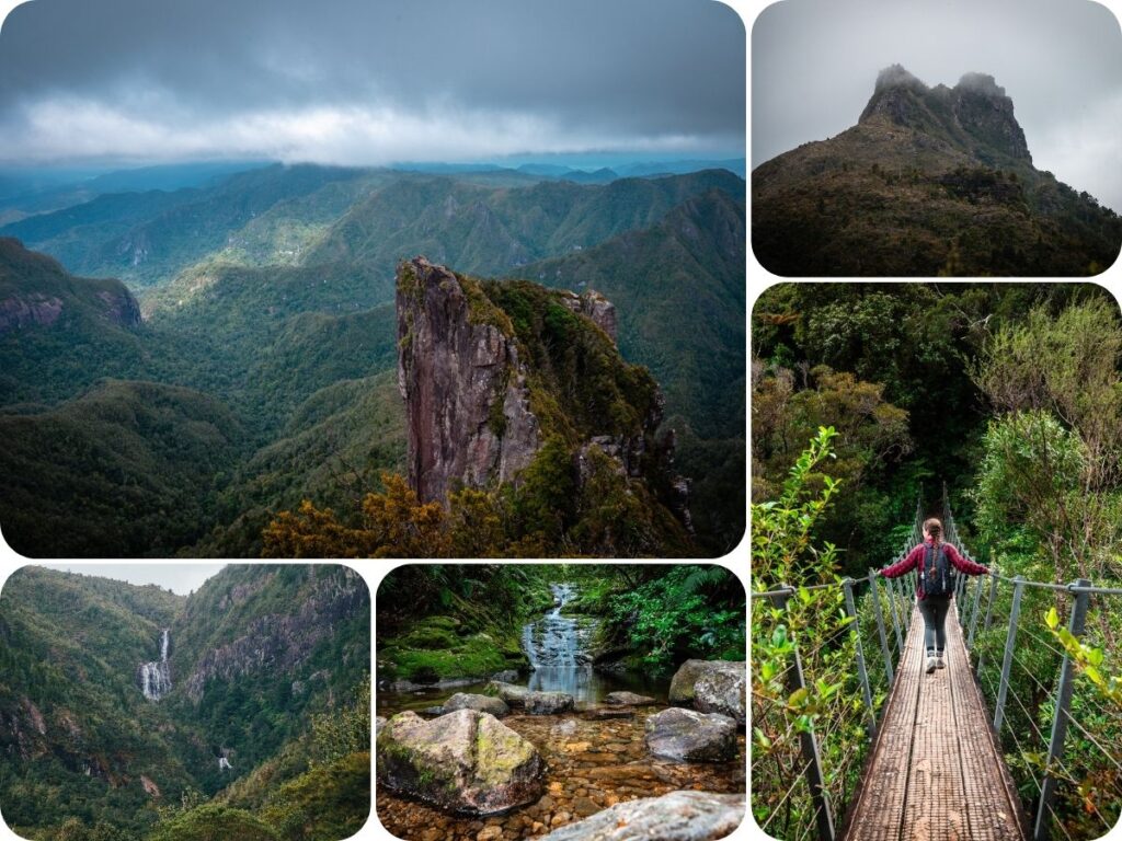 Best Day Hikes On The North Island Of New Zealand - Kauaeranga Kauri Pinnacles Trail