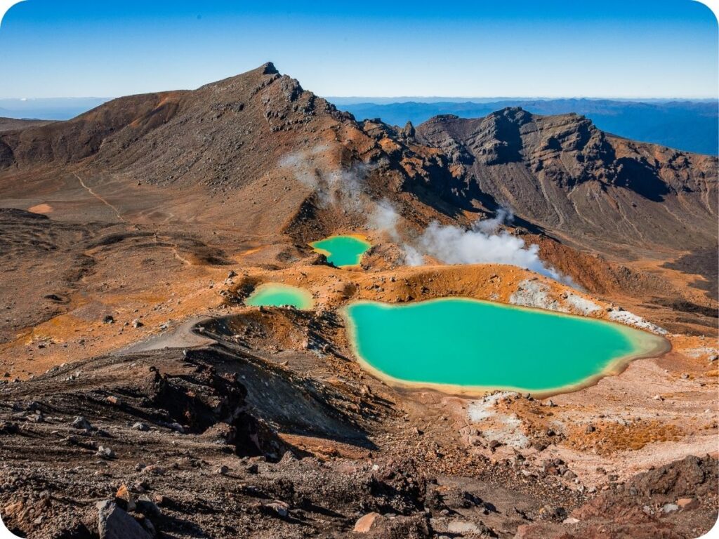 Best Doc Campgrounds on the North Island - Mangahuia Campground