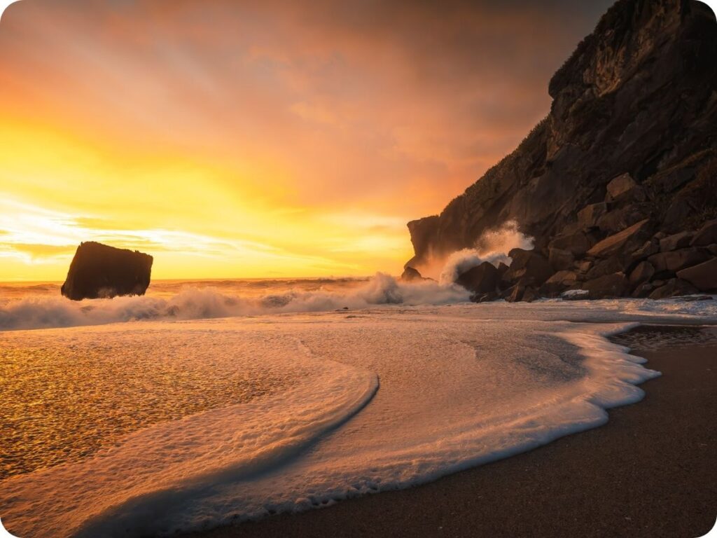 South Island Doc Sites - Kohaihai