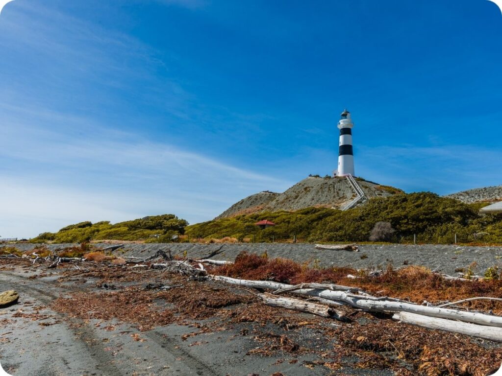 South Island Doc Sites - Marfells Beach