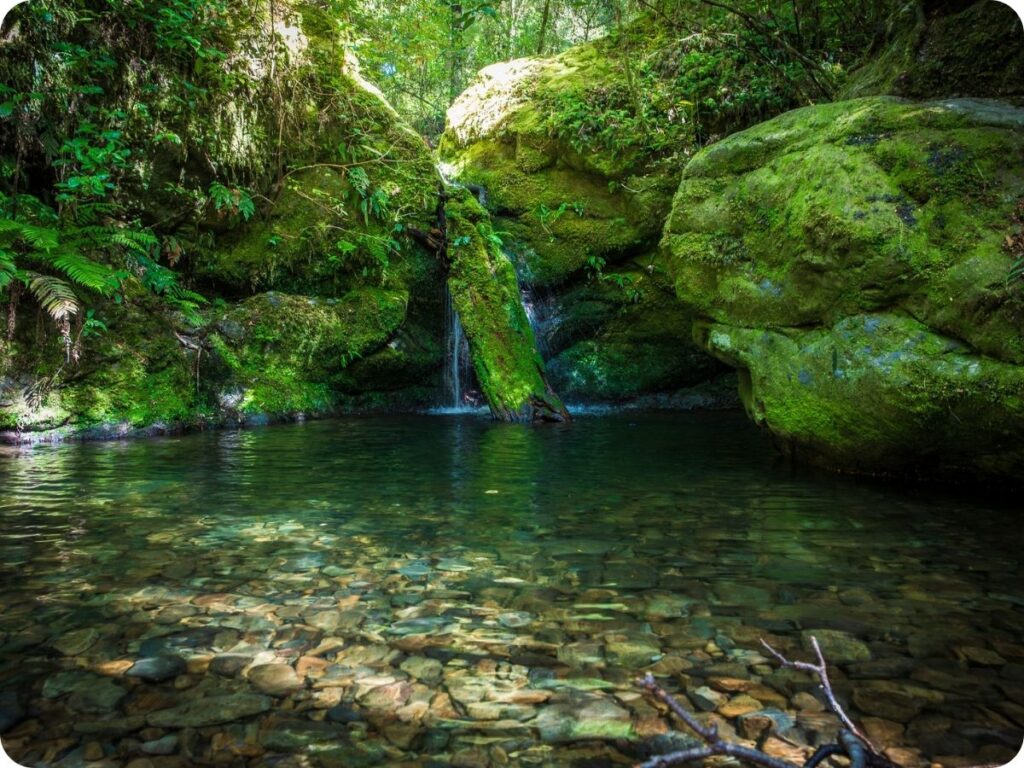 South Island Doc Sites - Pelorus Bridge