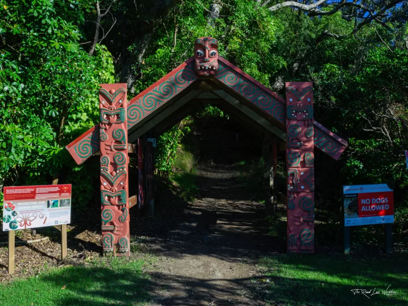 Footsteps of Toi - Ohope Scenic Reserve