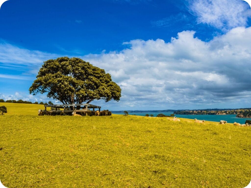 Free Things To Do In Auckland - Shakespeare Park