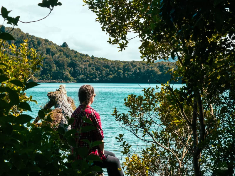 Short Walks in Waikato - Lake Rotopounamu