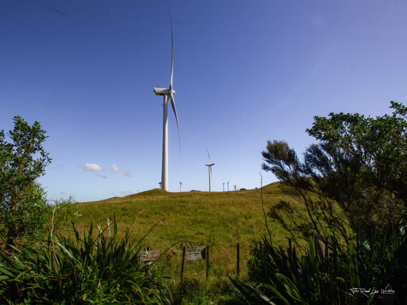 Manawatū Gorge - Windmill Lookout