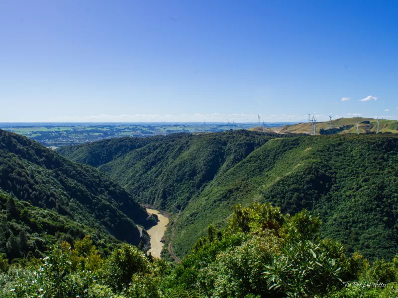 Manawatū Gorge - Sentinel Lookout