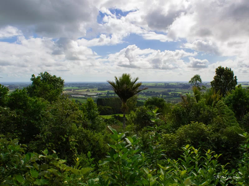 Manawatū Gorge - Toms Lookout