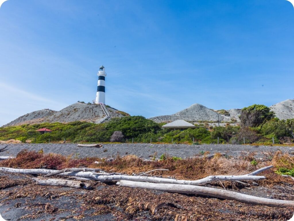 New Zealand Lighthouses - Cape Campbell