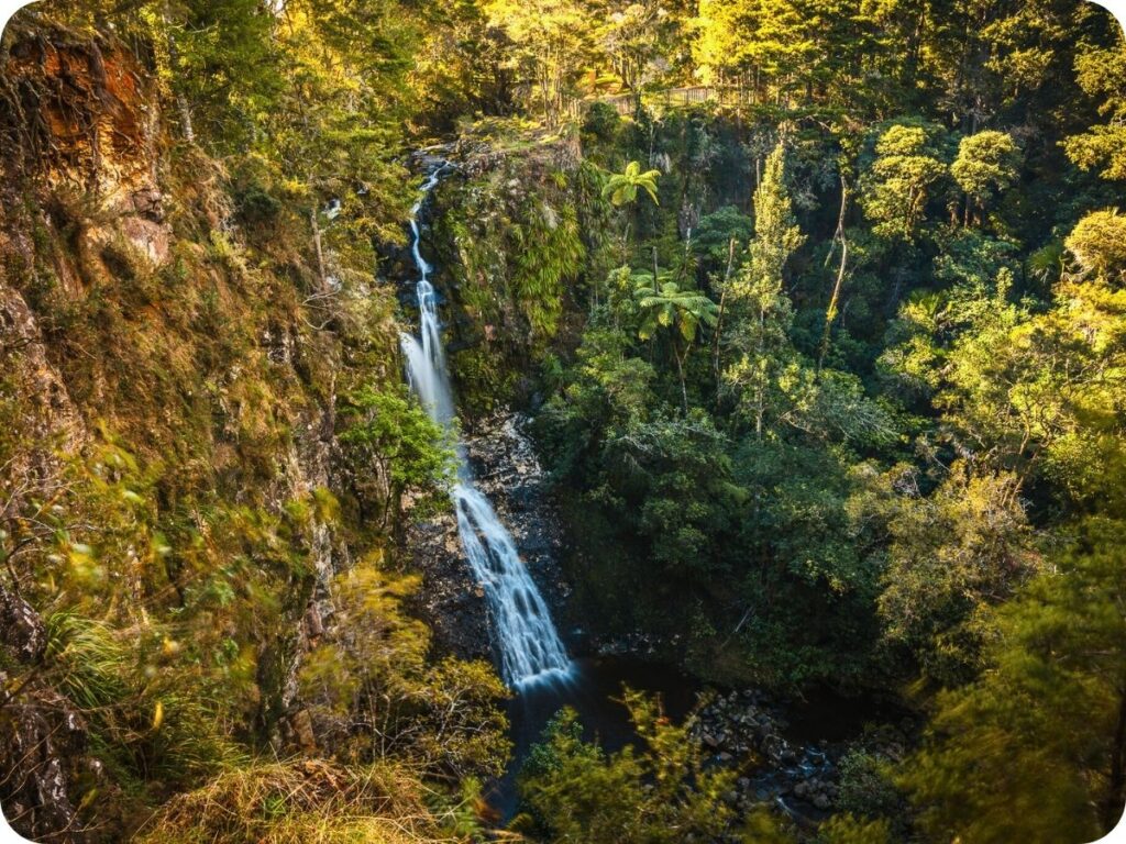 Northland Waterfalls - Paranui Falls