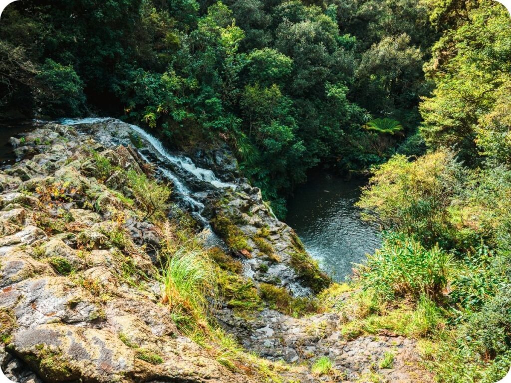 Northland Waterfalls - Raumanga Stream Waterfall