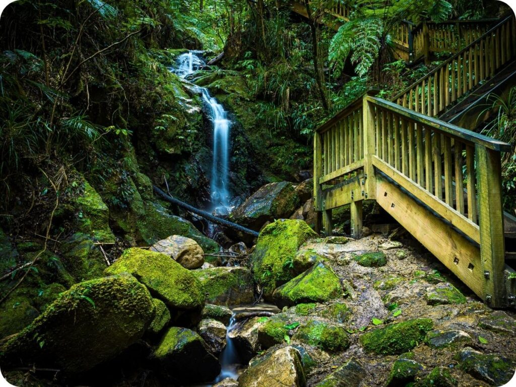 Northland Waterfalls - Ross Park Cascade